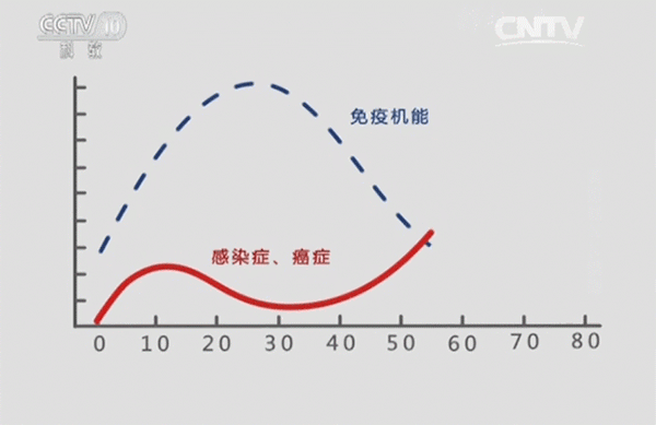 5.gif